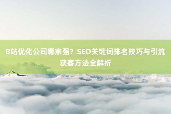 B站优化公司哪家强？SEO关键词排名技巧与引流获客方法全解析