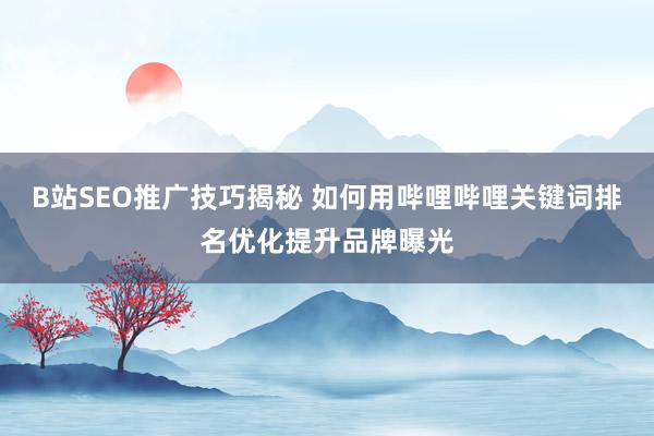 B站SEO推广技巧揭秘 如何用哔哩哔哩关键词排名优化提升品牌曝光