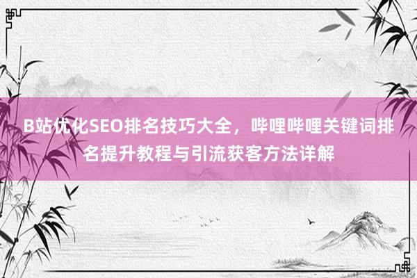 B站优化SEO排名技巧大全，哔哩哔哩关键词排名提升教程与引流获客方法详解