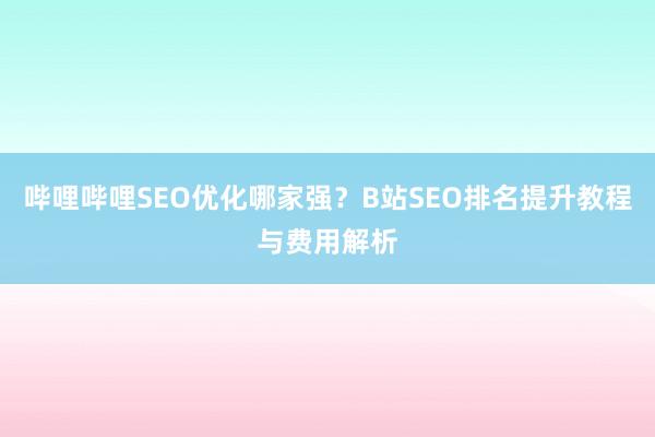 哔哩哔哩SEO优化哪家强？B站SEO排名提升教程与费用解析