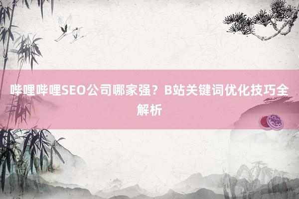 哔哩哔哩SEO公司哪家强？B站关键词优化技巧全解析