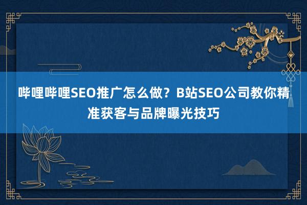 哔哩哔哩SEO推广怎么做？B站SEO公司教你精准获客与品牌曝光技巧