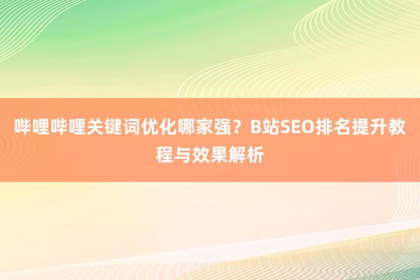 哔哩哔哩关键词优化哪家强？B站SEO排名提升教程与效果解析