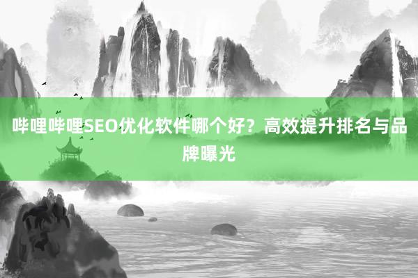 哔哩哔哩SEO优化软件哪个好？高效提升排名与品牌曝光
