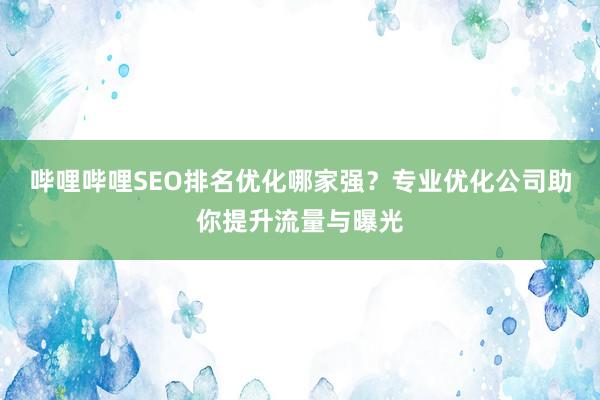 哔哩哔哩SEO排名优化哪家强？专业优化公司助你提升流量与曝光