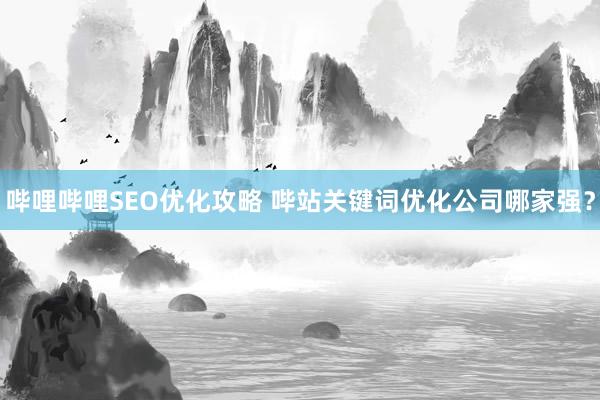 哔哩哔哩SEO优化攻略 哔站关键词优化公司哪家强？
