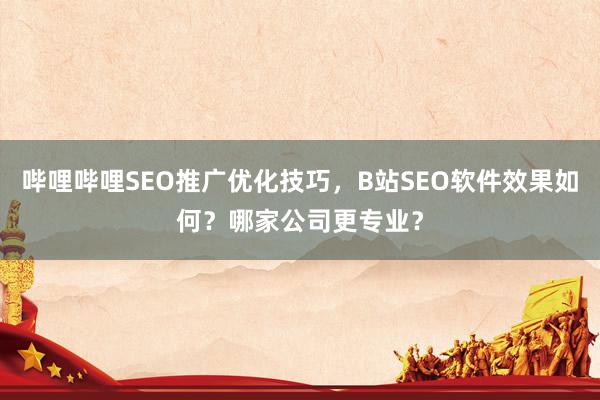 哔哩哔哩SEO推广优化技巧，B站SEO软件效果如何？哪家公司更专业？