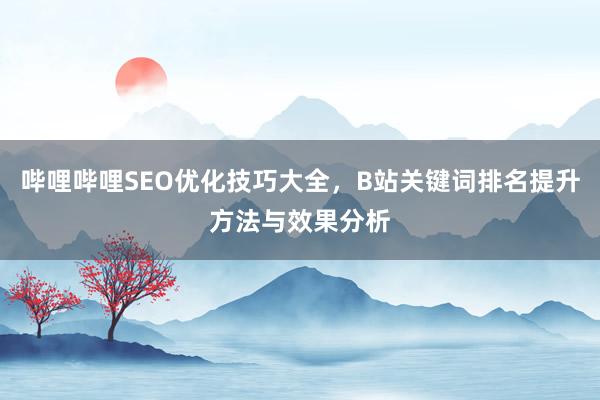 哔哩哔哩SEO优化技巧大全，B站关键词排名提升方法与效果分析