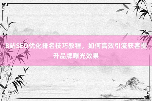 B站SEO优化排名技巧教程，如何高效引流获客提升品牌曝光效果