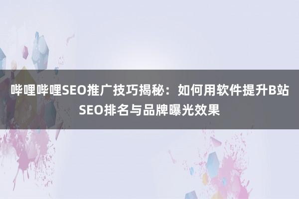 哔哩哔哩SEO推广技巧揭秘：如何用软件提升B站SEO排名与品牌曝光效果