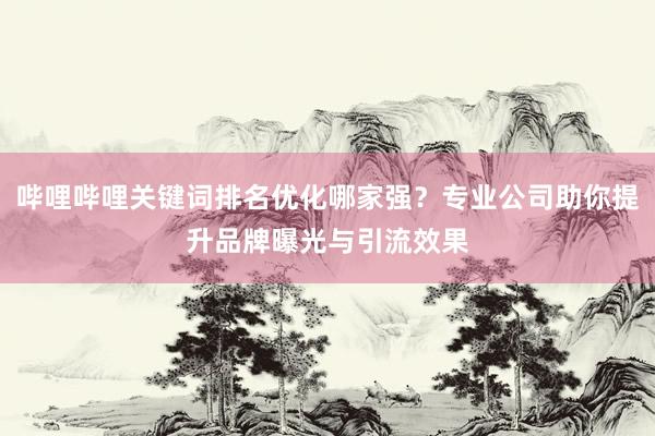 哔哩哔哩关键词排名优化哪家强？专业公司助你提升品牌曝光与引流效果