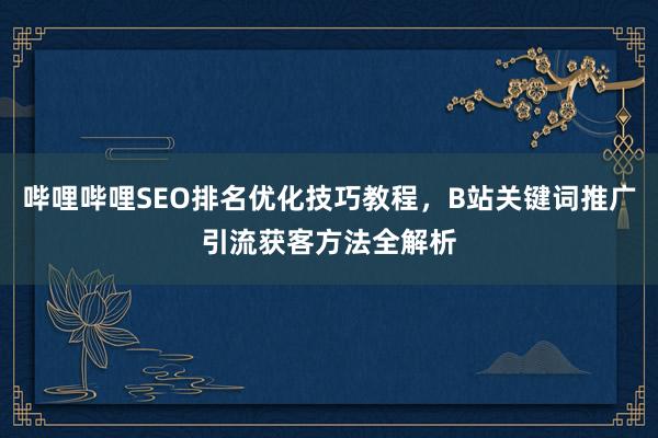 哔哩哔哩SEO排名优化技巧教程，B站关键词推广引流获客方法全解析