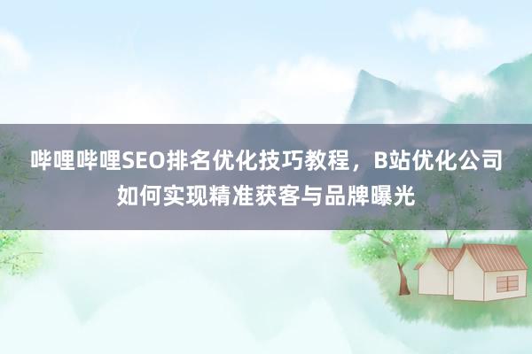 哔哩哔哩SEO排名优化技巧教程，B站优化公司如何实现精准获客与品牌曝光