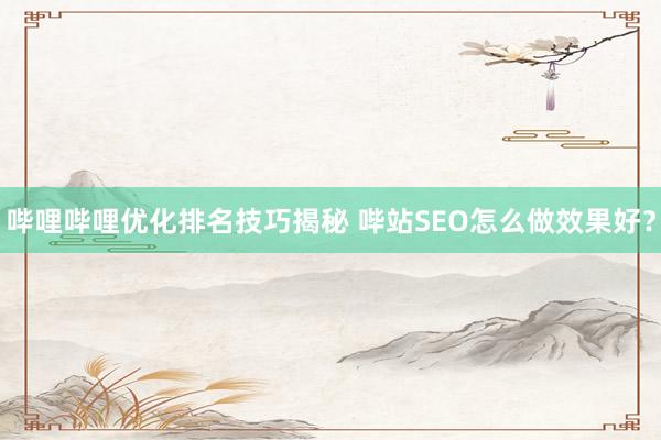 哔哩哔哩优化排名技巧揭秘 哔站SEO怎么做效果好？