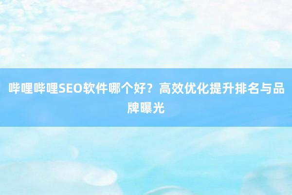 哔哩哔哩SEO软件哪个好？高效优化提升排名与品牌曝光