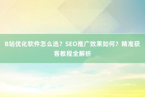B站优化软件怎么选？SEO推广效果如何？精准获客教程全解析