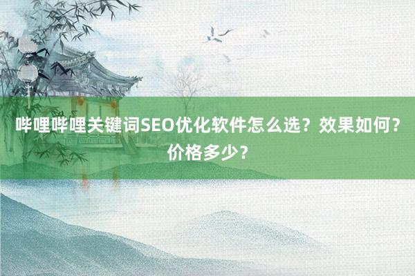 哔哩哔哩关键词SEO优化软件怎么选？效果如何？价格多少？