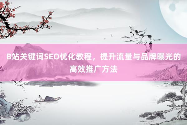 B站关键词SEO优化教程，提升流量与品牌曝光的高效推广方法
