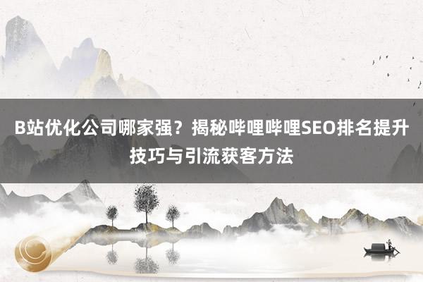 B站优化公司哪家强？揭秘哔哩哔哩SEO排名提升技巧与引流获客方法