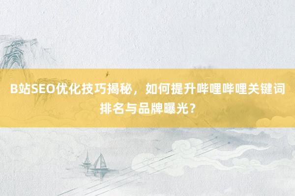 B站SEO优化技巧揭秘，如何提升哔哩哔哩关键词排名与品牌曝光？