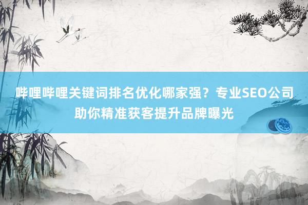 哔哩哔哩关键词排名优化哪家强？专业SEO公司助你精准获客提升品牌曝光