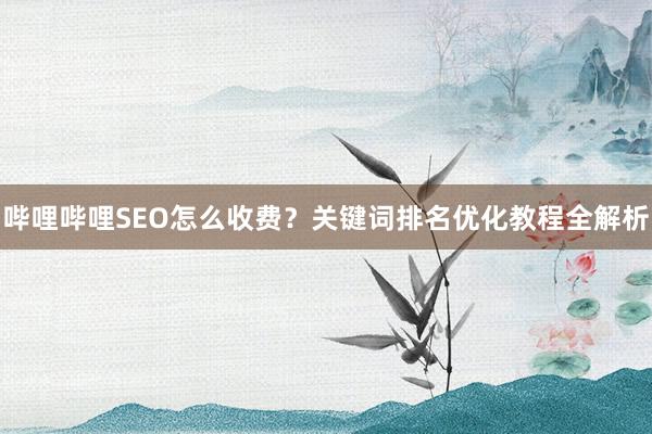 哔哩哔哩SEO怎么收费？关键词排名优化教程全解析