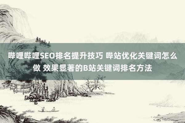 哔哩哔哩SEO排名提升技巧 哔站优化关键词怎么做 效果显著的B站关键词排名方法