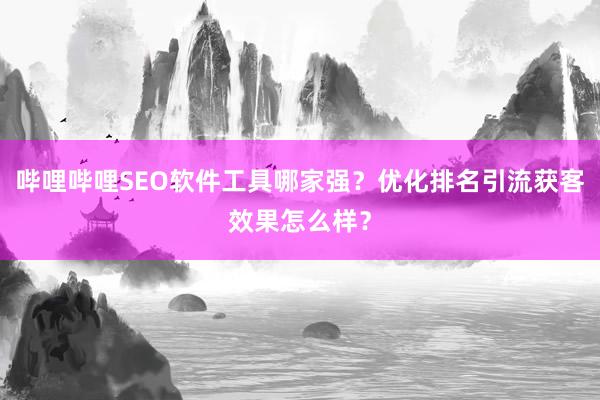 哔哩哔哩SEO软件工具哪家强？优化排名引流获客效果怎么样？