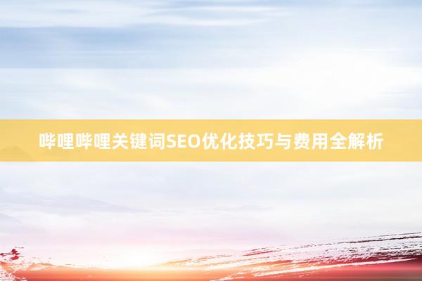 哔哩哔哩关键词SEO优化技巧与费用全解析
