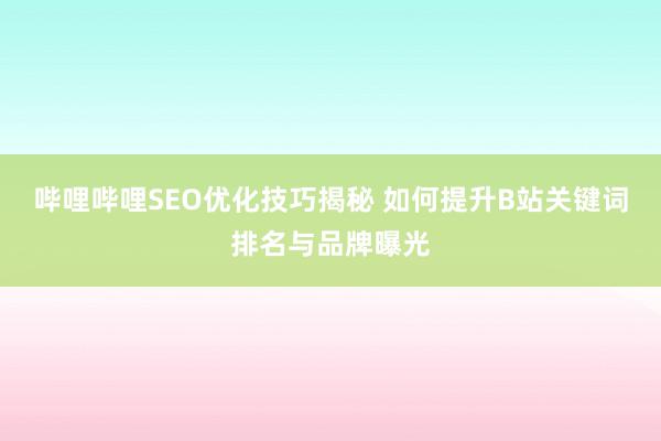 哔哩哔哩SEO优化技巧揭秘 如何提升B站关键词排名与品牌曝光