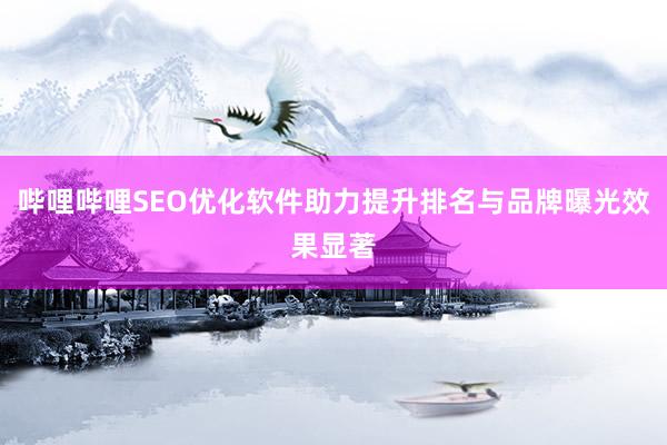 哔哩哔哩SEO优化软件助力提升排名与品牌曝光效果显著