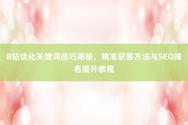 B站优化关键词技巧揭秘，精准获客方法与SEO排名提升教程