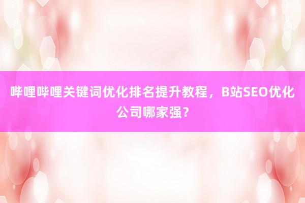 哔哩哔哩关键词优化排名提升教程，B站SEO优化公司哪家强？