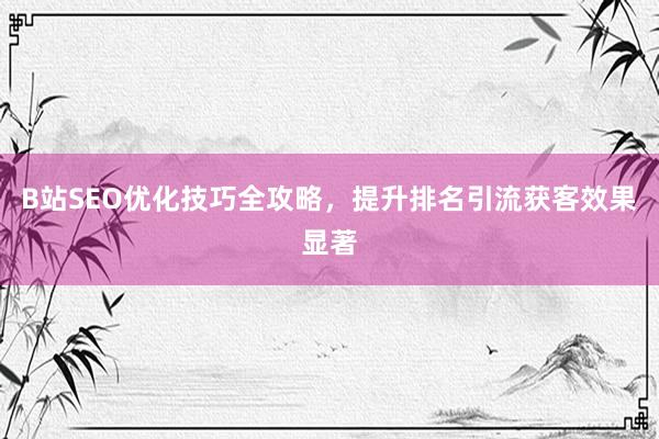 B站SEO优化技巧全攻略，提升排名引流获客效果显著