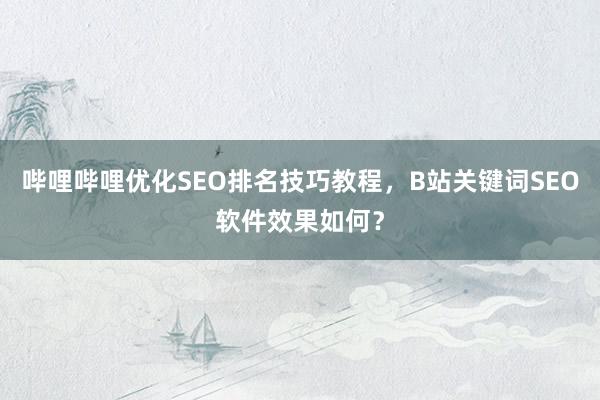 哔哩哔哩优化SEO排名技巧教程，B站关键词SEO软件效果如何？