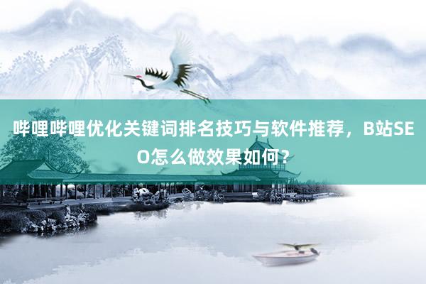哔哩哔哩优化关键词排名技巧与软件推荐，B站SEO怎么做效果如何？