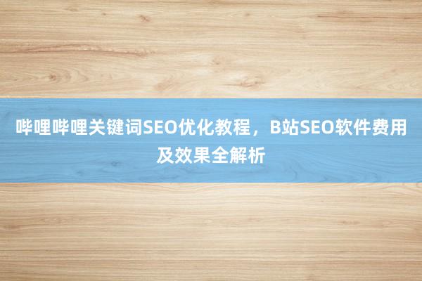 哔哩哔哩关键词SEO优化教程，B站SEO软件费用及效果全解析