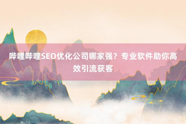 哔哩哔哩SEO优化公司哪家强？专业软件助你高效引流获客