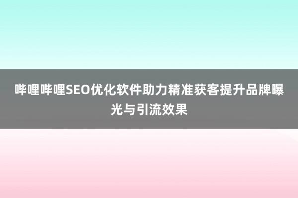 哔哩哔哩SEO优化软件助力精准获客提升品牌曝光与引流效果