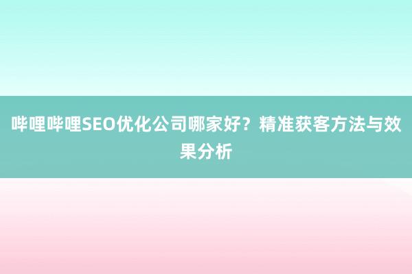 哔哩哔哩SEO优化公司哪家好？精准获客方法与效果分析