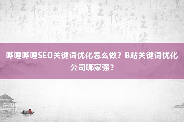 哔哩哔哩SEO关键词优化怎么做？B站关键词优化公司哪家强？