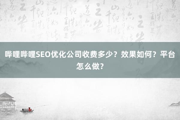 哔哩哔哩SEO优化公司收费多少？效果如何？平台怎么做？