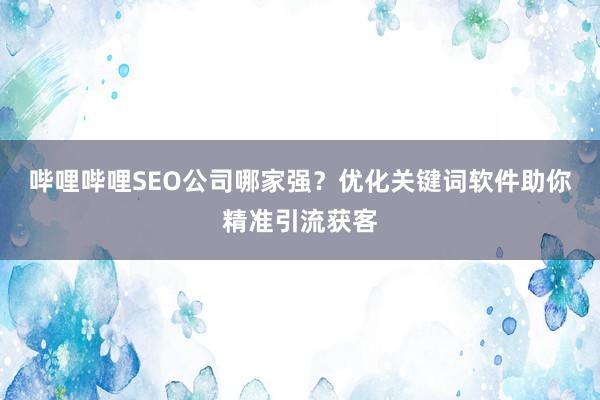 哔哩哔哩SEO公司哪家强？优化关键词软件助你精准引流获客