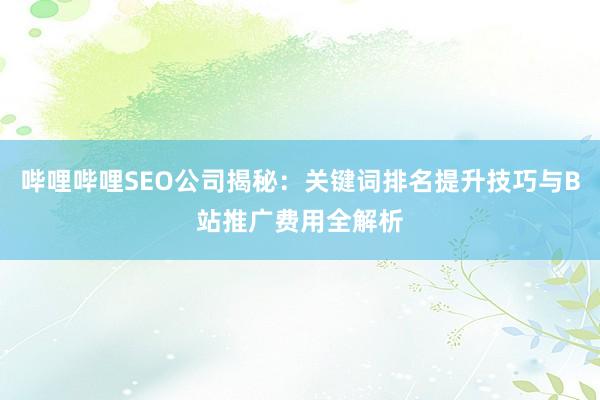 哔哩哔哩SEO公司揭秘：关键词排名提升技巧与B站推广费用全解析