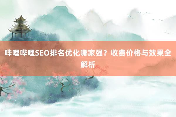 哔哩哔哩SEO排名优化哪家强？收费价格与效果全解析