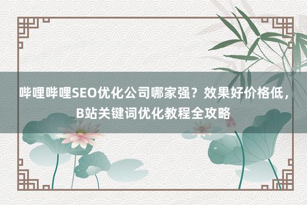 哔哩哔哩SEO优化公司哪家强？效果好价格低，B站关键词优化教程全攻略