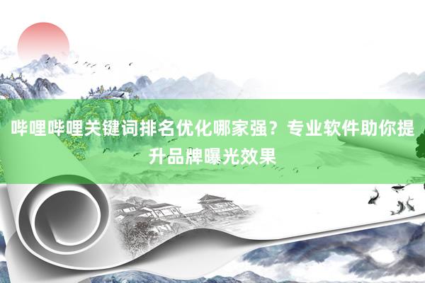 哔哩哔哩关键词排名优化哪家强？专业软件助你提升品牌曝光效果