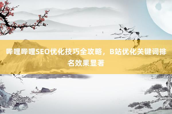 哔哩哔哩SEO优化技巧全攻略，B站优化关键词排名效果显著