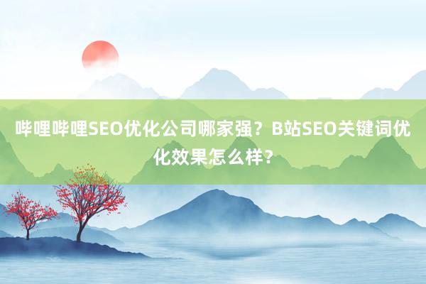 哔哩哔哩SEO优化公司哪家强？B站SEO关键词优化效果怎么样？