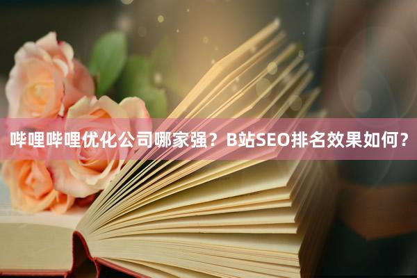 哔哩哔哩优化公司哪家强？B站SEO排名效果如何？